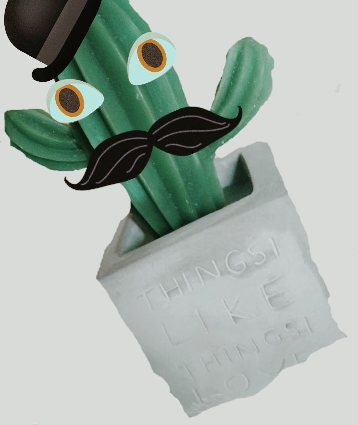 Thingsi