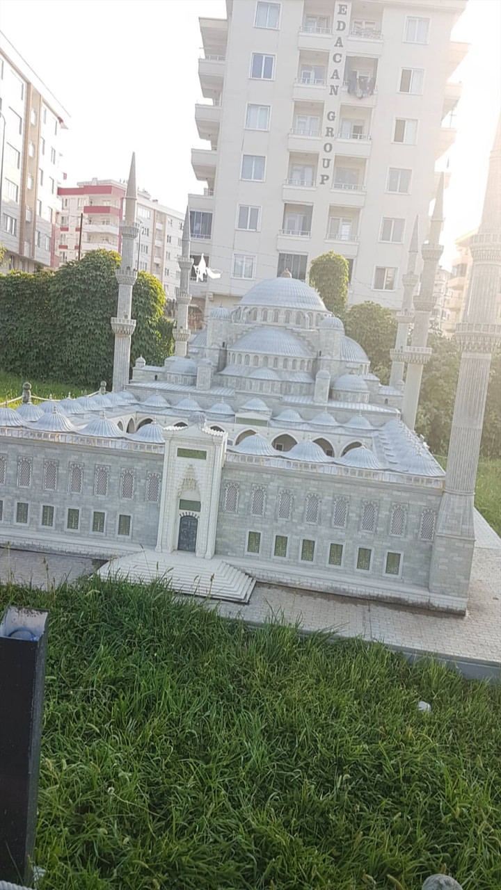 Cami