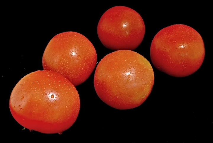 Tomatoes