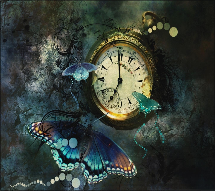 Butterflies
