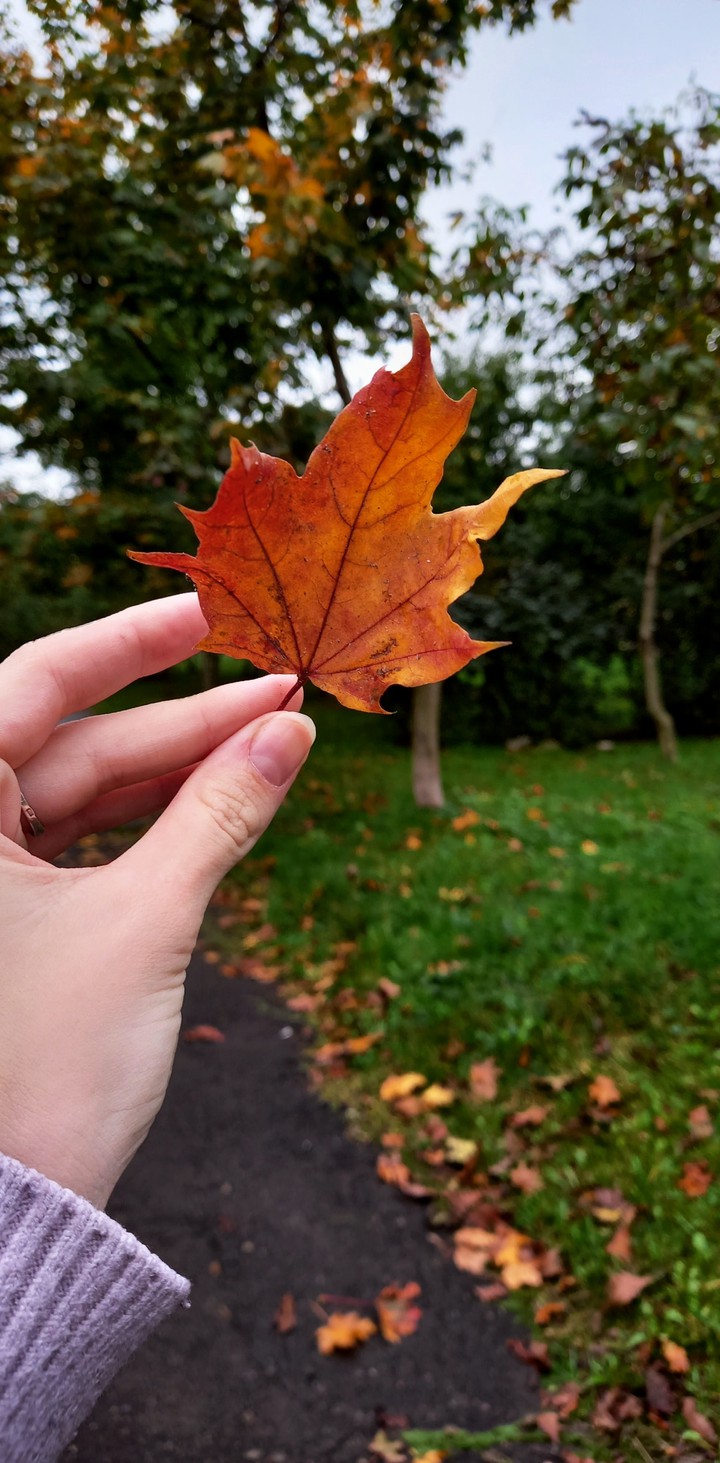 Autumn