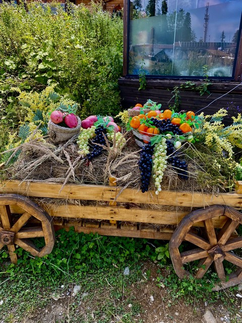 Wheel, wagon Hintergrundbilder
