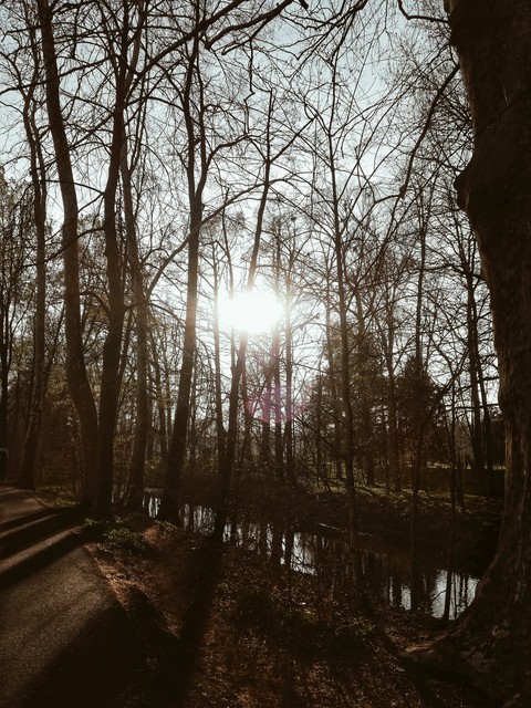 Park