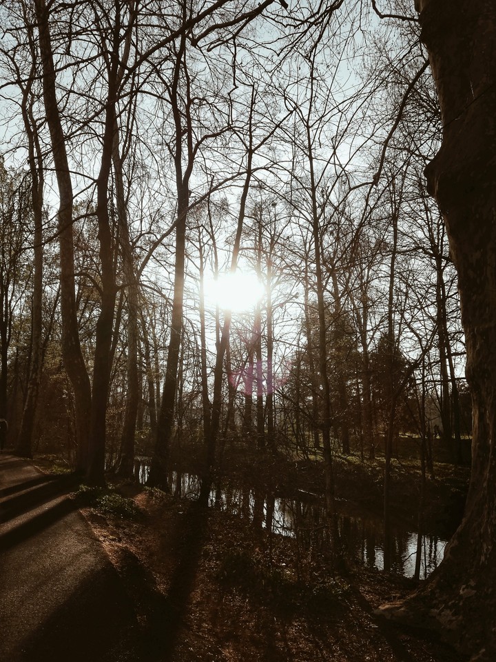 Park