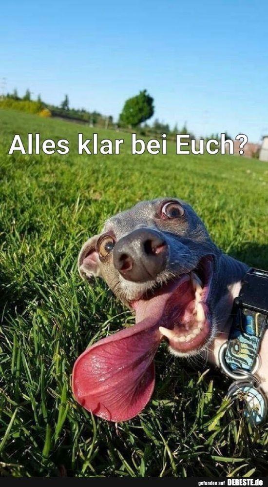 Hallo