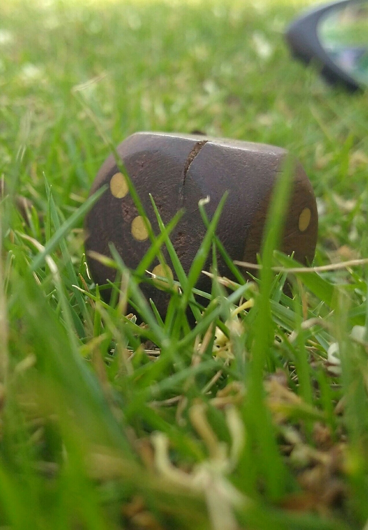 dice Brown