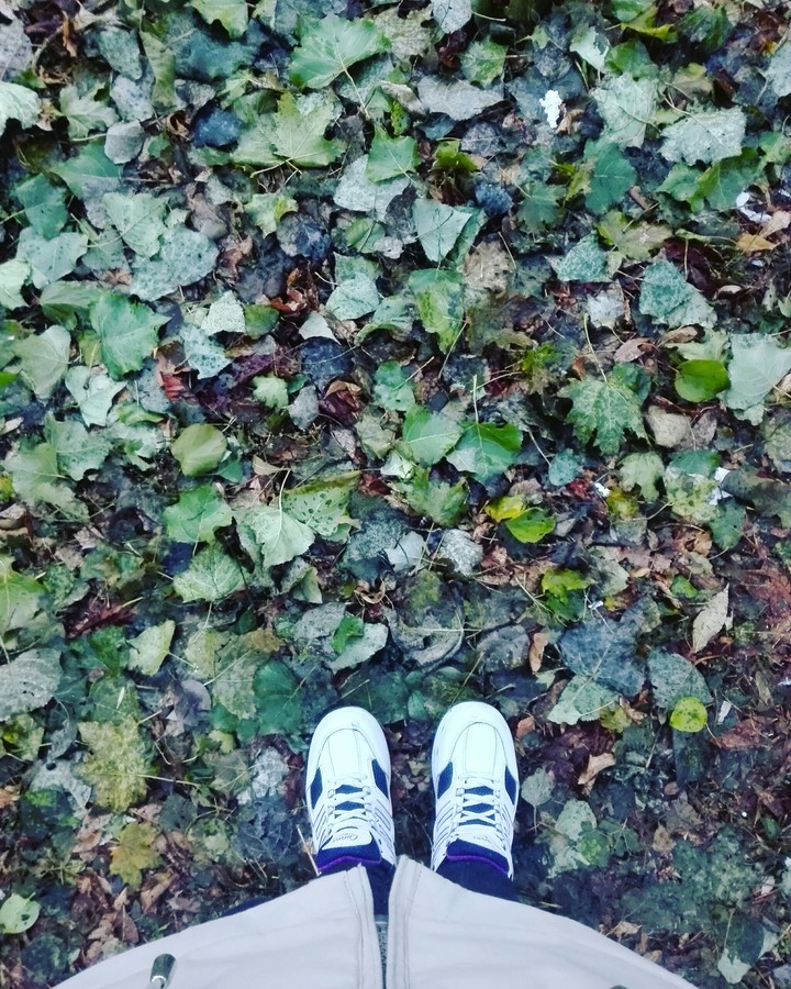 Autumn come