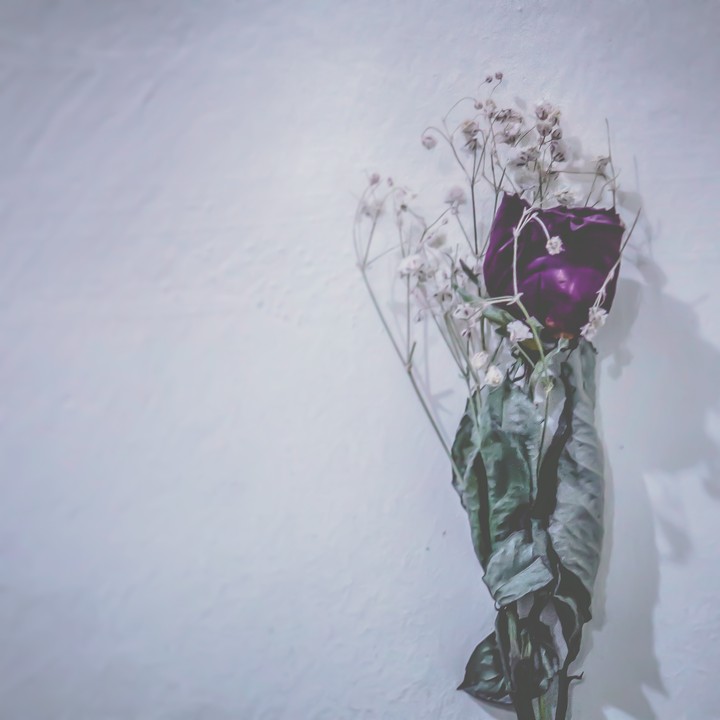 dried roses and forgotten love