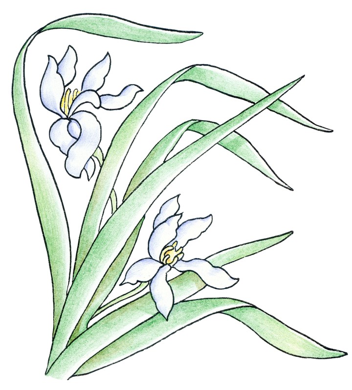 클립아트시리즈