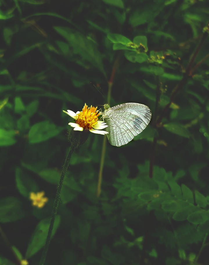 trip_00__graphy