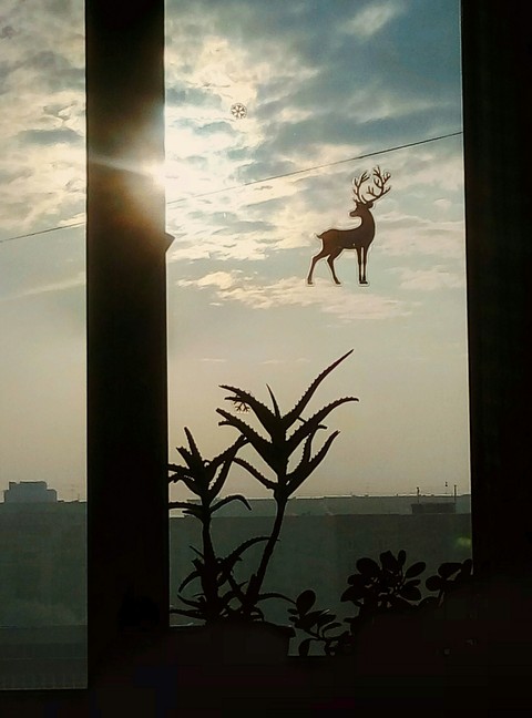 fonds d'écran sunrise, window