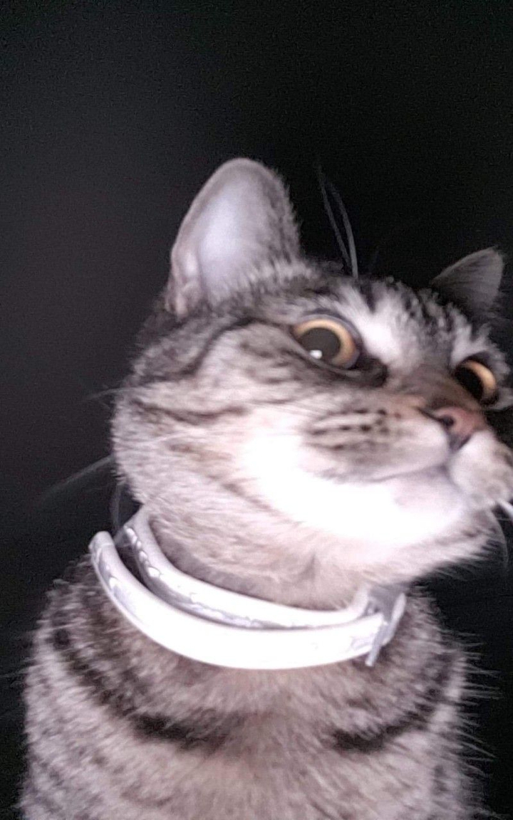 ?