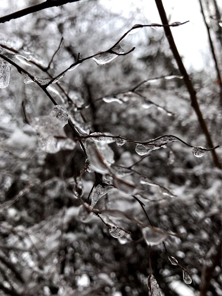 winter