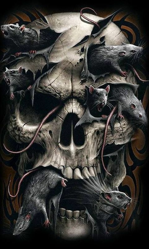 Skeleton