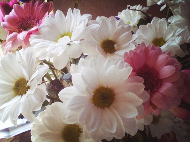 fiori