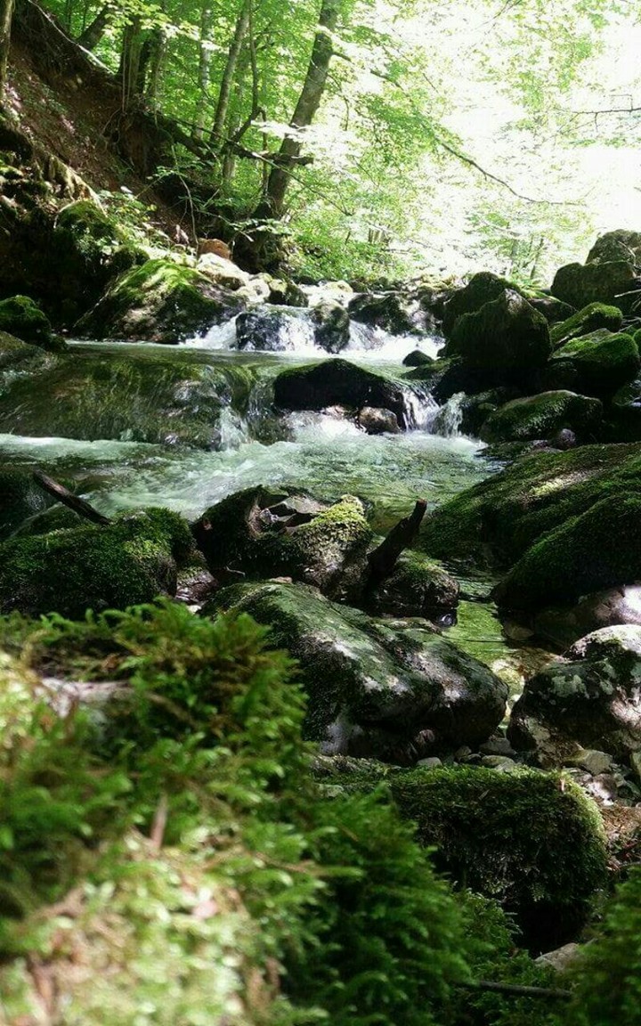 Rock and water