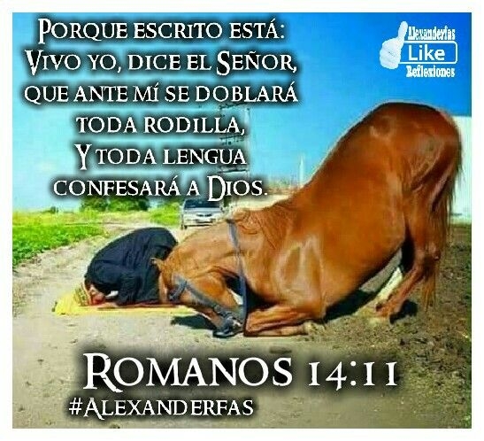 Romanos 14:11