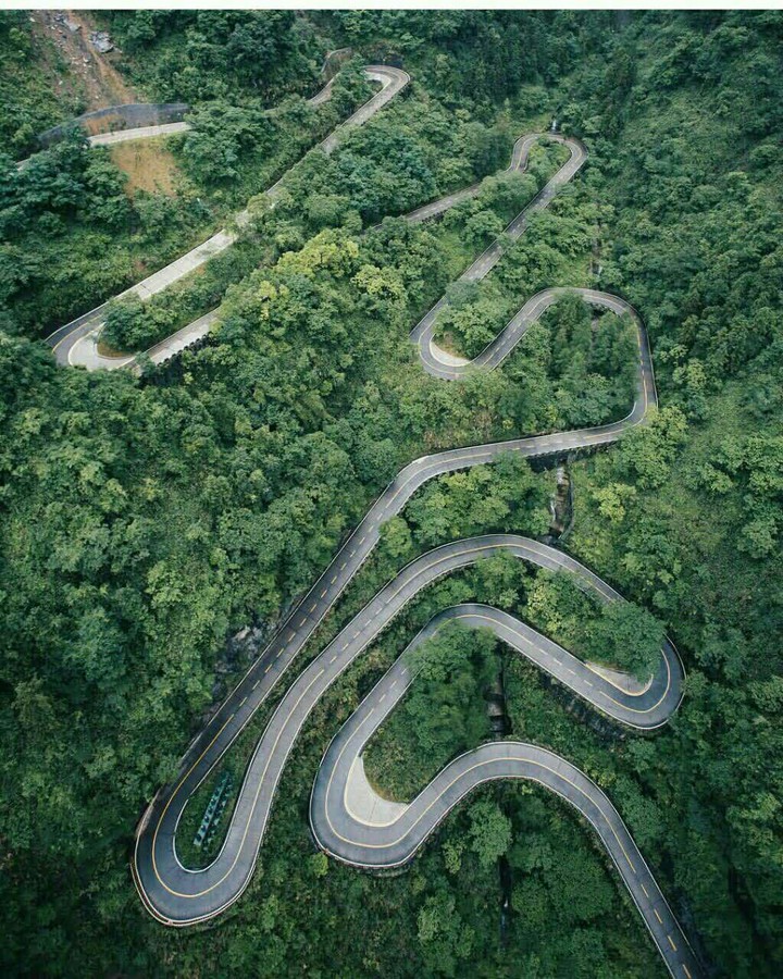 a road in the jungle