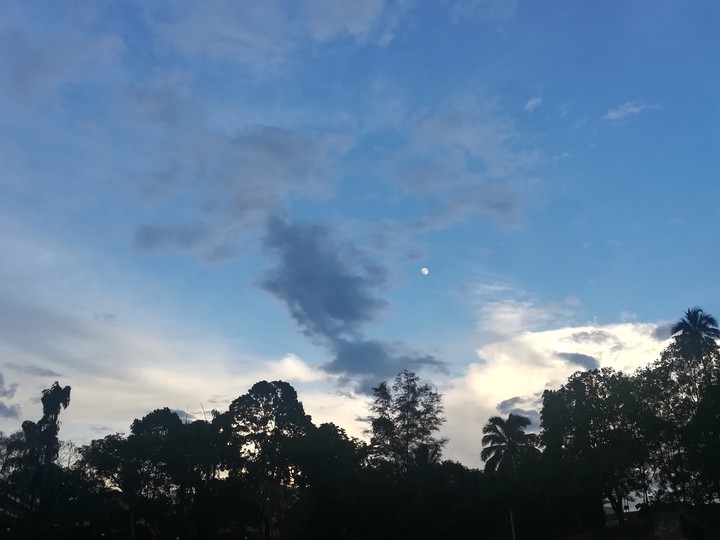 Moony Dusk