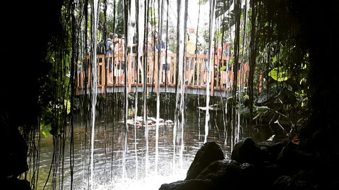 Wasserfall Insel Mainau