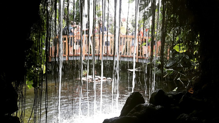 Wasserfall Insel Mainau