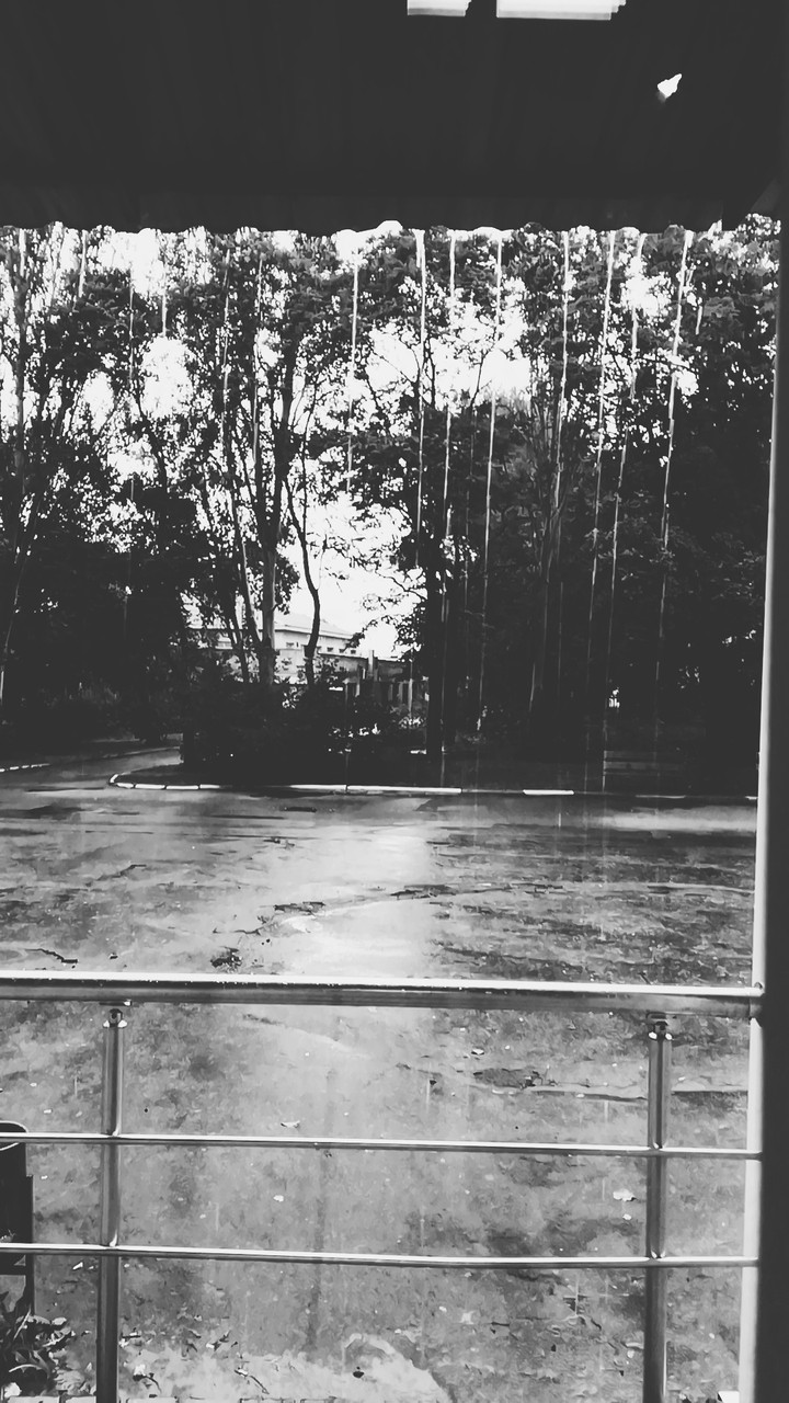 Rain ⛈️⛈️..