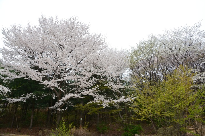 풍경이미지