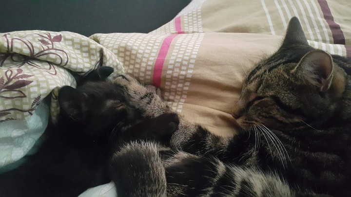 Drako&Diuna