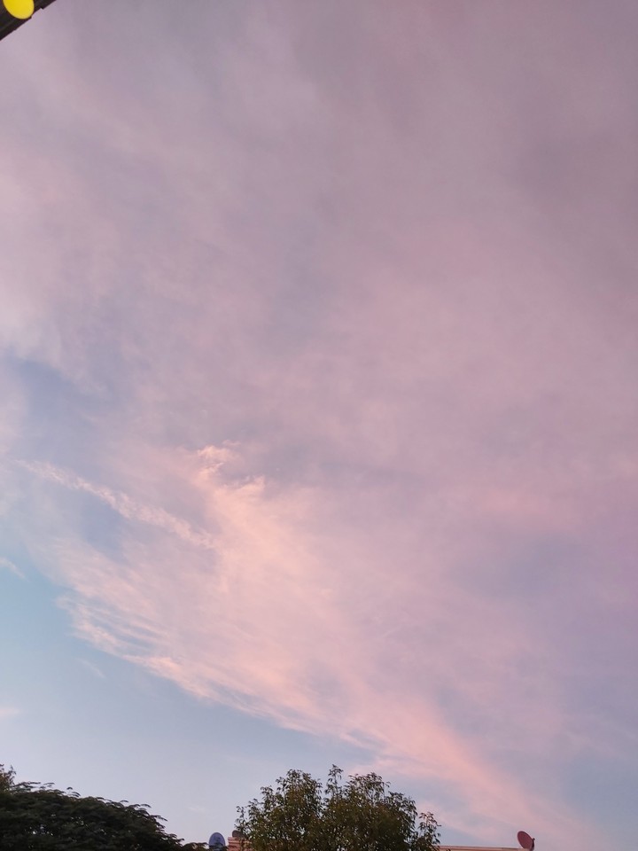 cielo regio