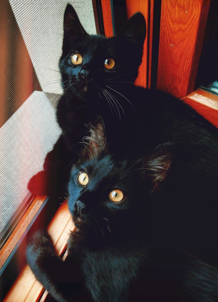 black & black