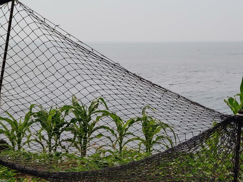 sea