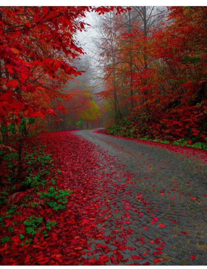 Nature