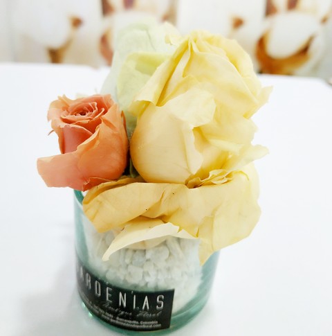 Rosas de Papel?