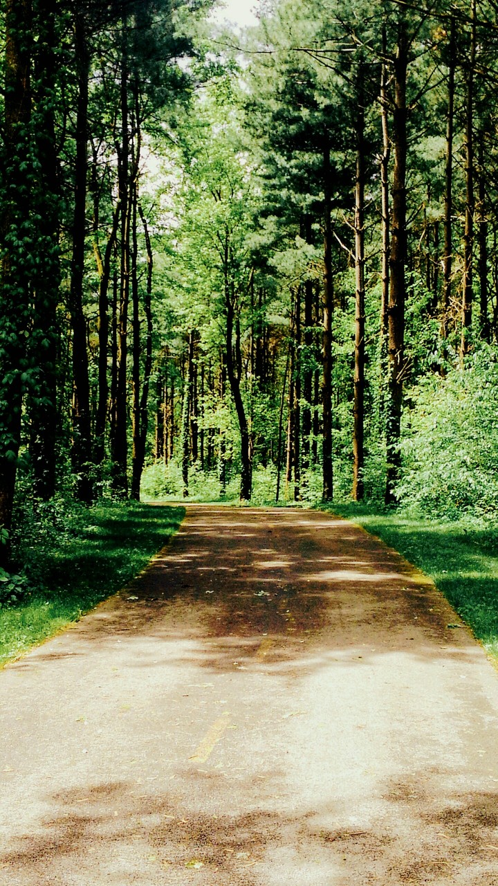 walkway