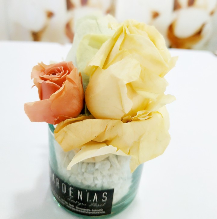 Rosas de Papel?