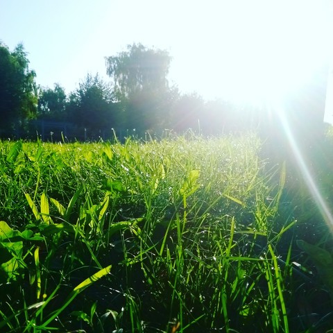 aunset