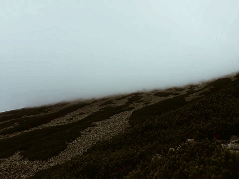 тапети Ridge, fog