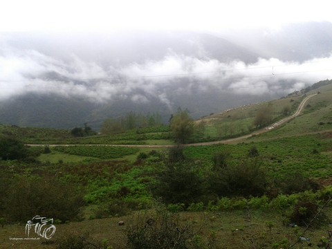 Life-rain-cloud