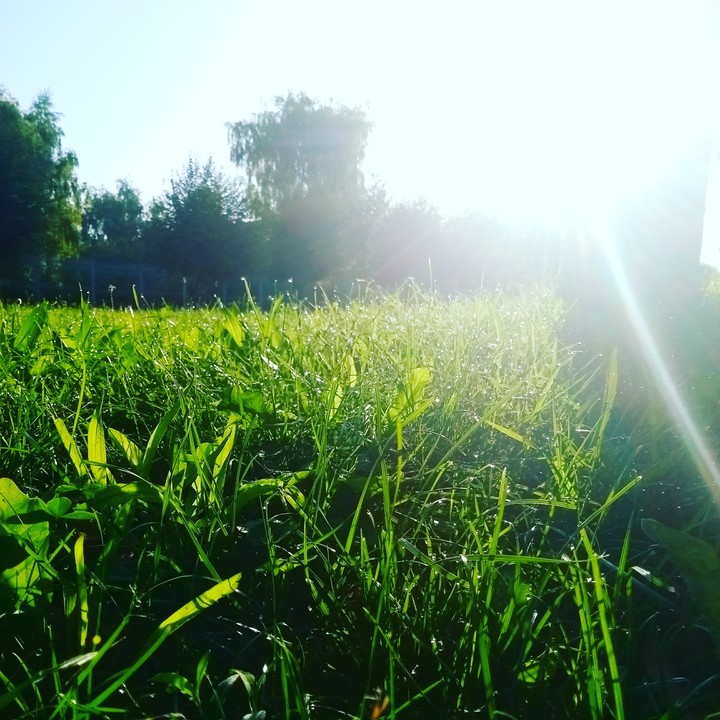 aunset