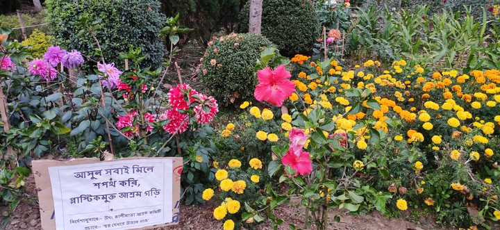 flowers in temple