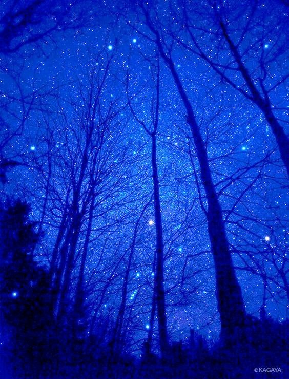 noche