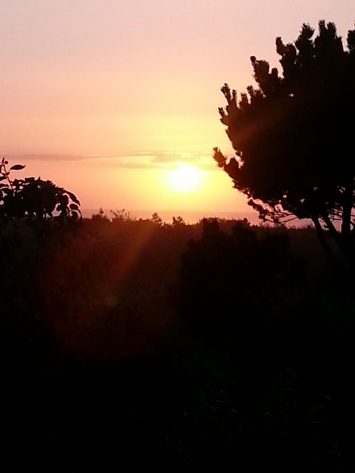 Sunset in Longbeach Washington