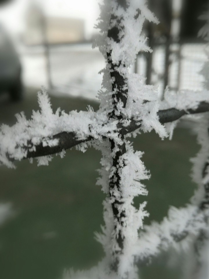 Snow