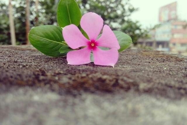nothing