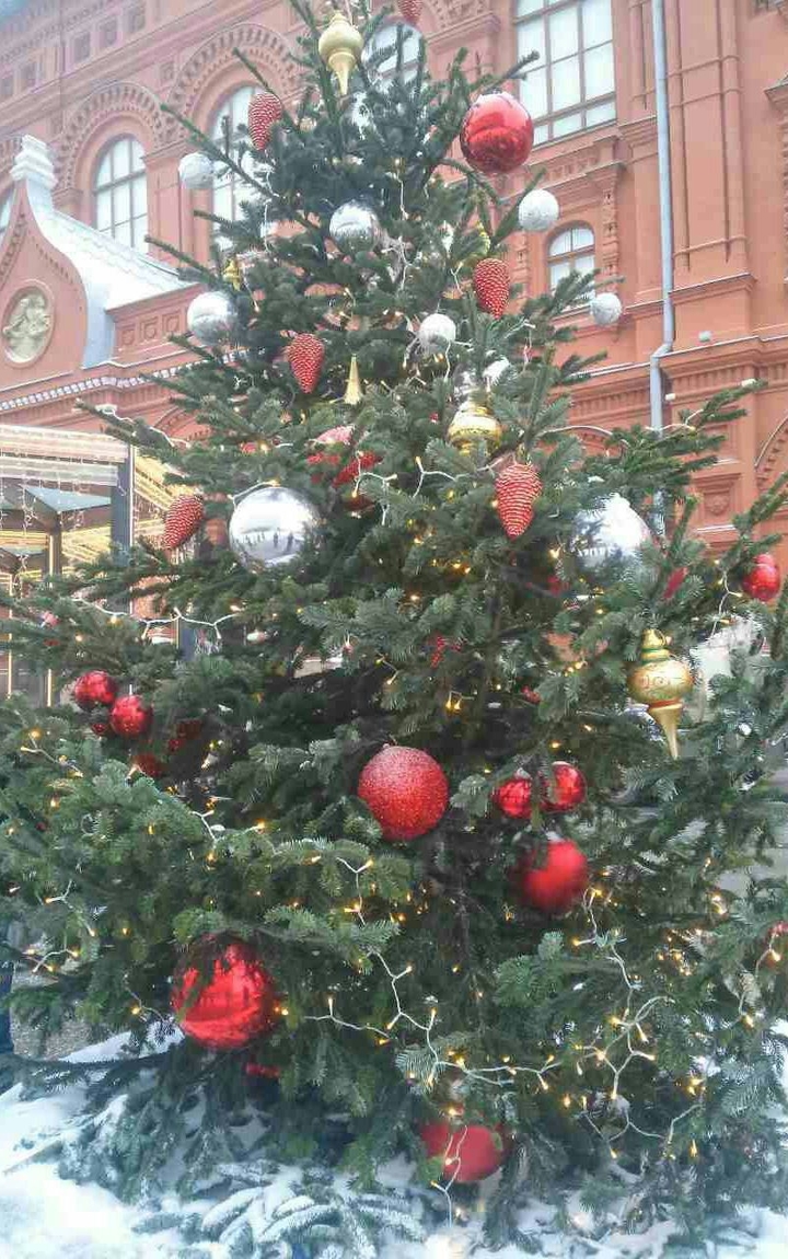 Елочка