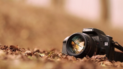 camera