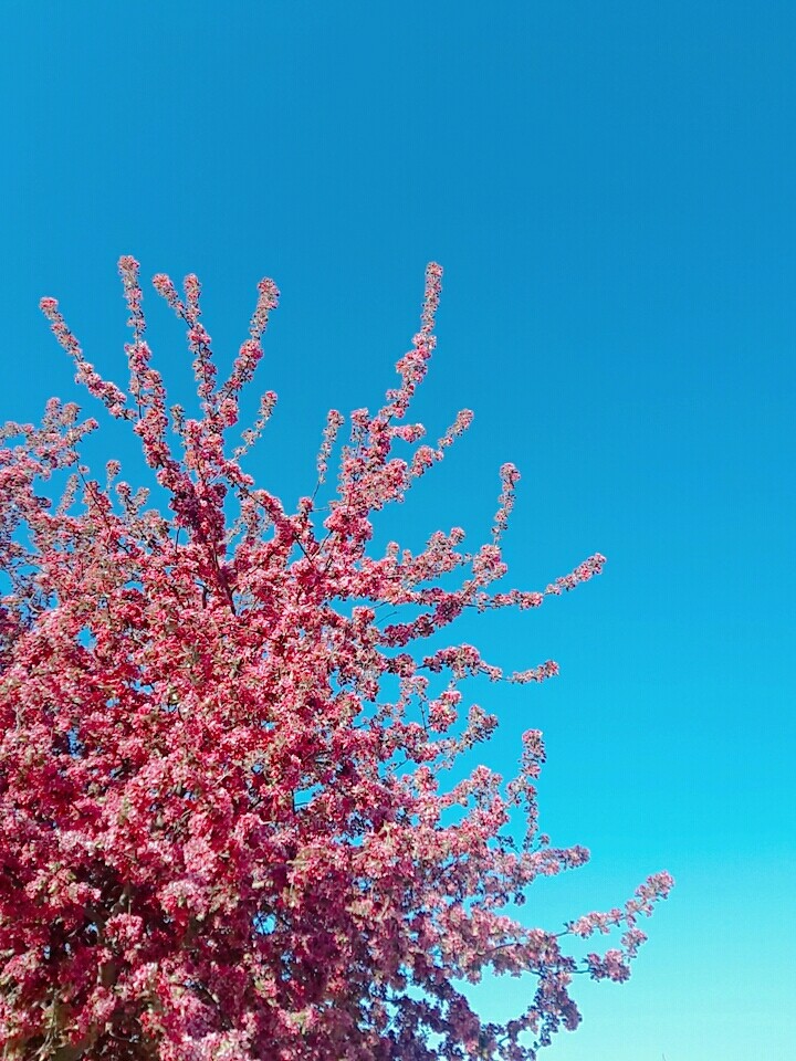 frommysight