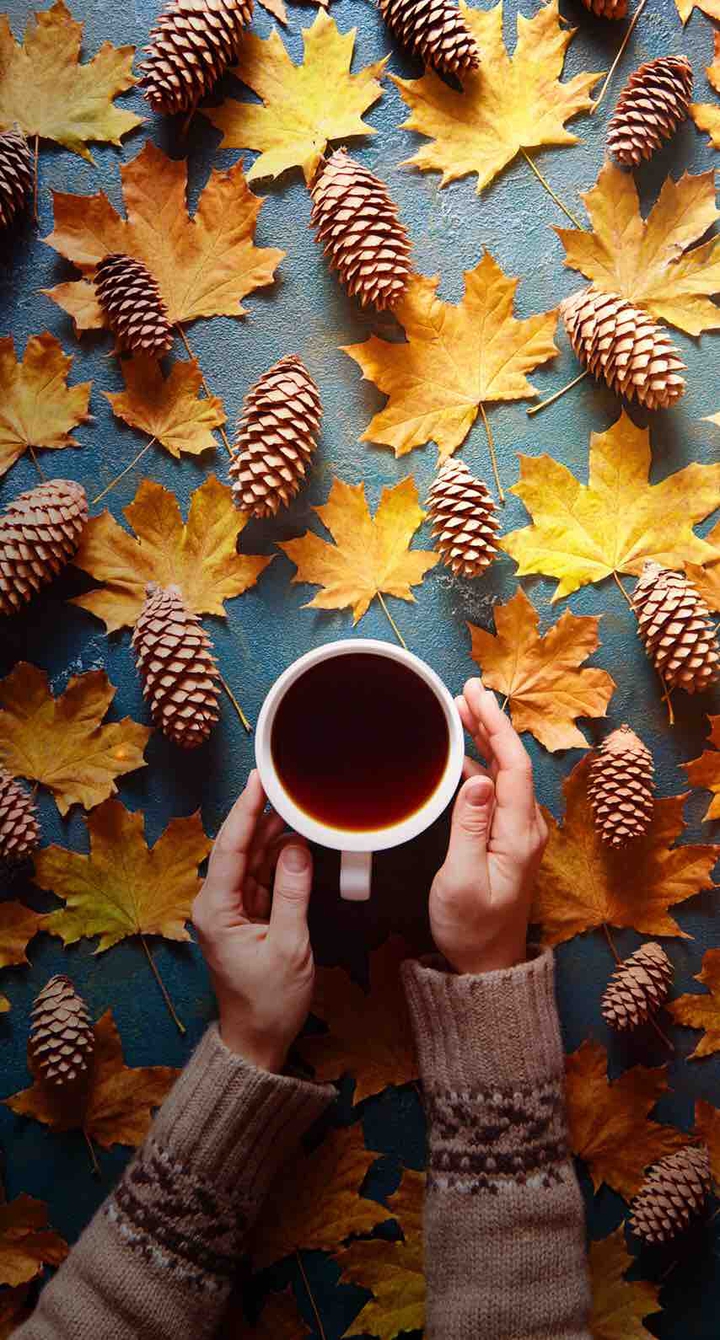 autumn