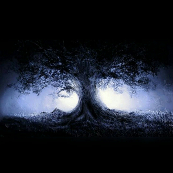 Darkness has its own mystery .....