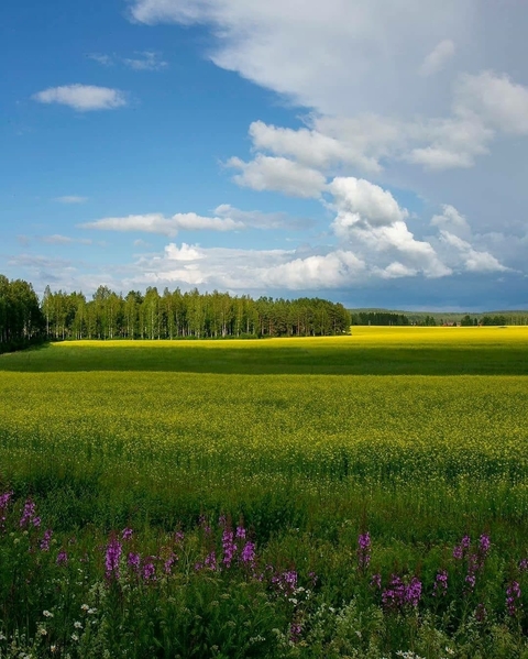 sfondi cloud, Yellow